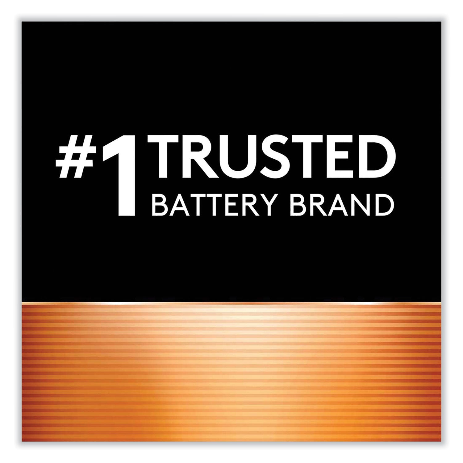 Duracell® CopperTop Alkaline D Batteries, 2/Pack