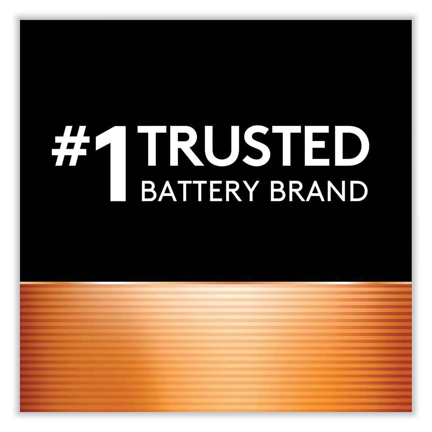 Duracell® CopperTop Alkaline 9V Batteries, 2/Pack