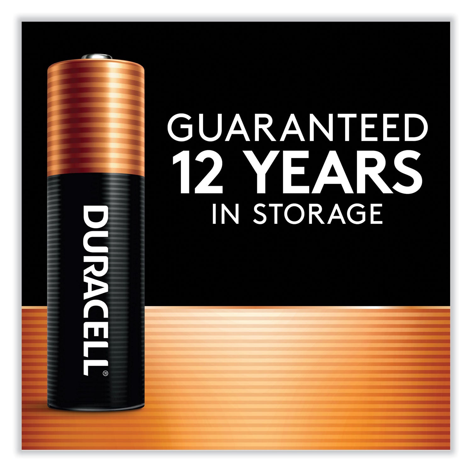 Duracell® Power Boost CopperTop Alkaline AA Batteries, 2/Pack