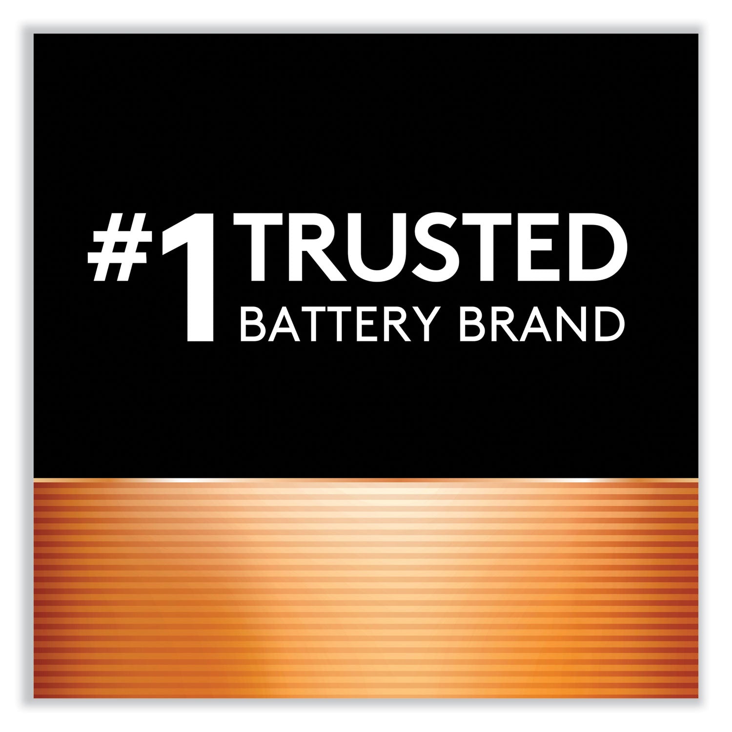 Duracell® Power Boost CopperTop Alkaline AA Batteries, 2/Pack