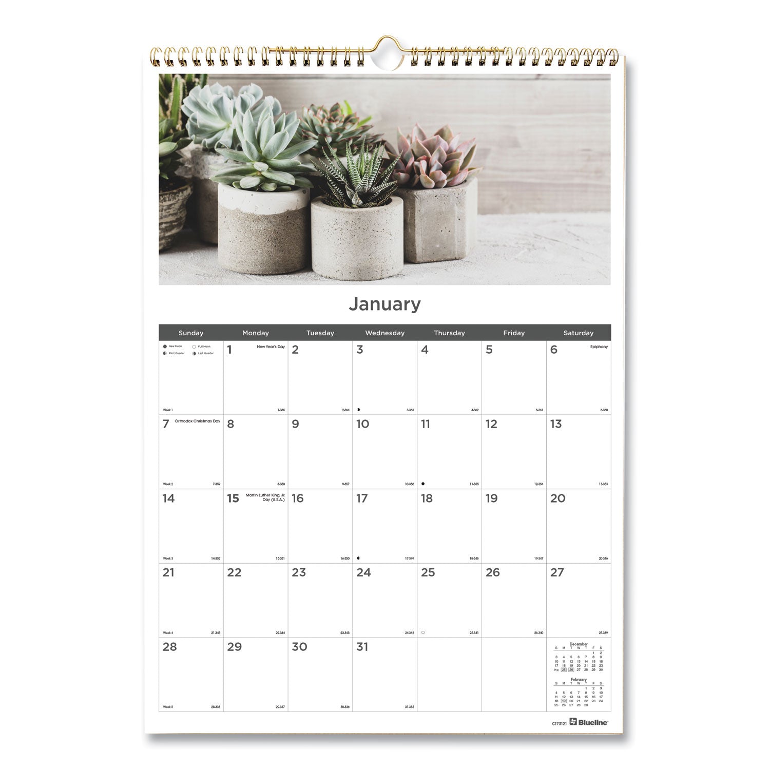 12-Month Wall Calendar, Succulent Plants Photography, 12 x 17, White/Multicolor Sheets, 12-Month (Jan to Dec): 2025