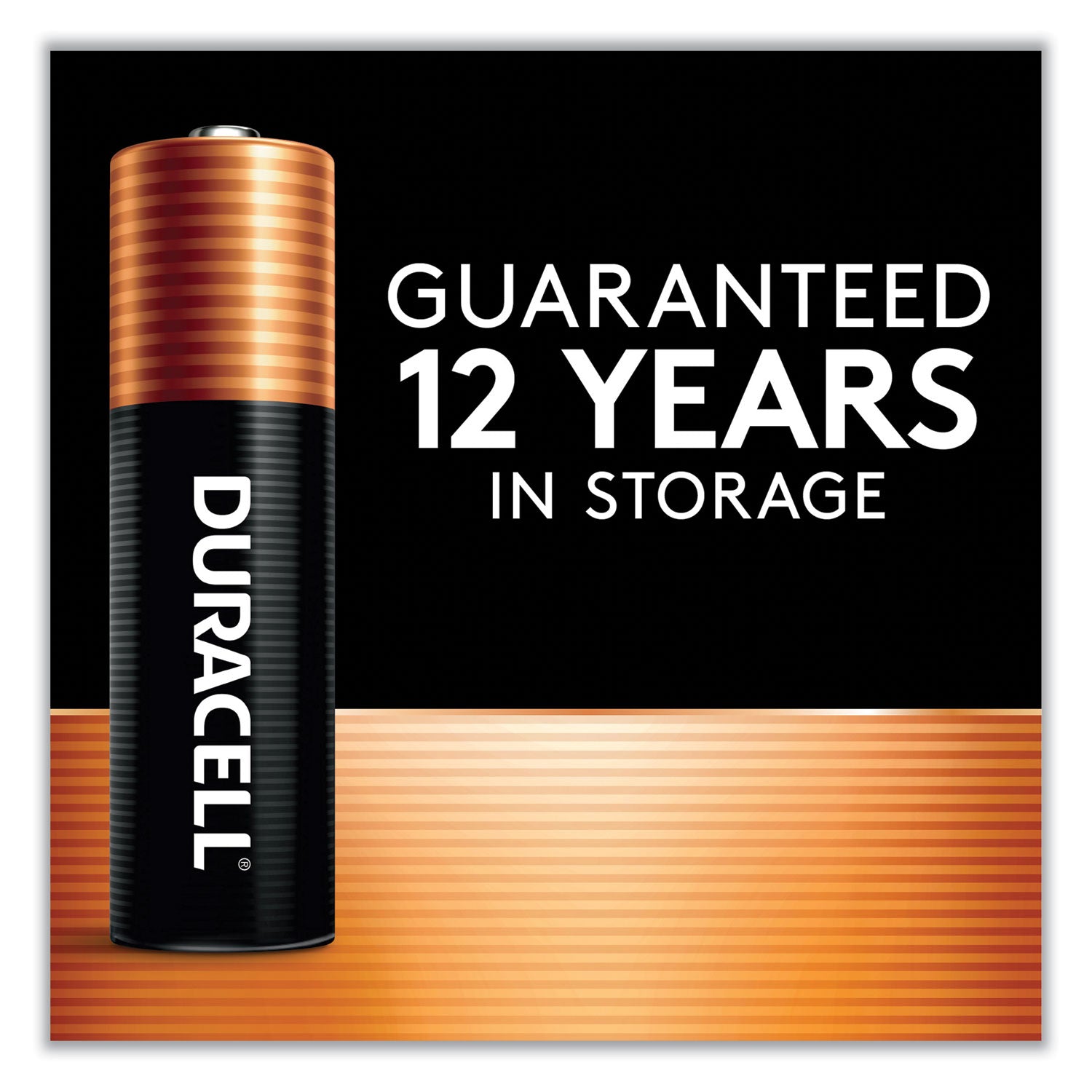 Duracell® Power Boost CopperTop Alkaline AA Batteries, 224/Carton