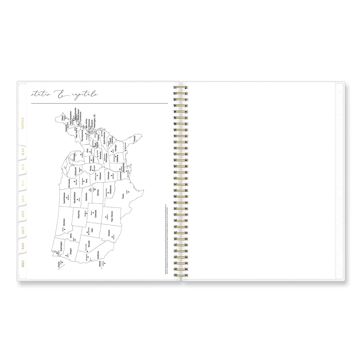 Blue Sky® Life Note-It Leah Weekly/Monthly Notes Planner, Floral Artwork, 11 x 8.5, Gray/Pink/White Cover, 12-Month (Jan to Dec): 2024