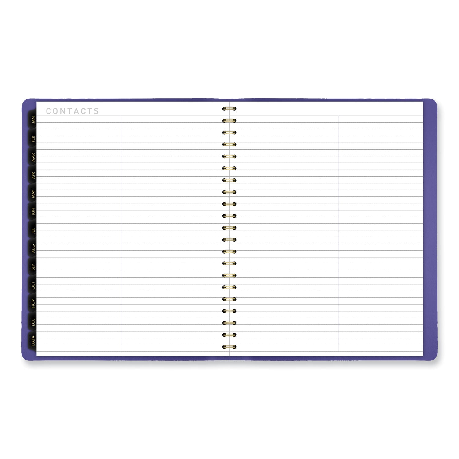 Contemporary Weekly/Monthly Planner, 11.38 x 9, Purple Cover, 12-Month (Jan to Dec): 2025