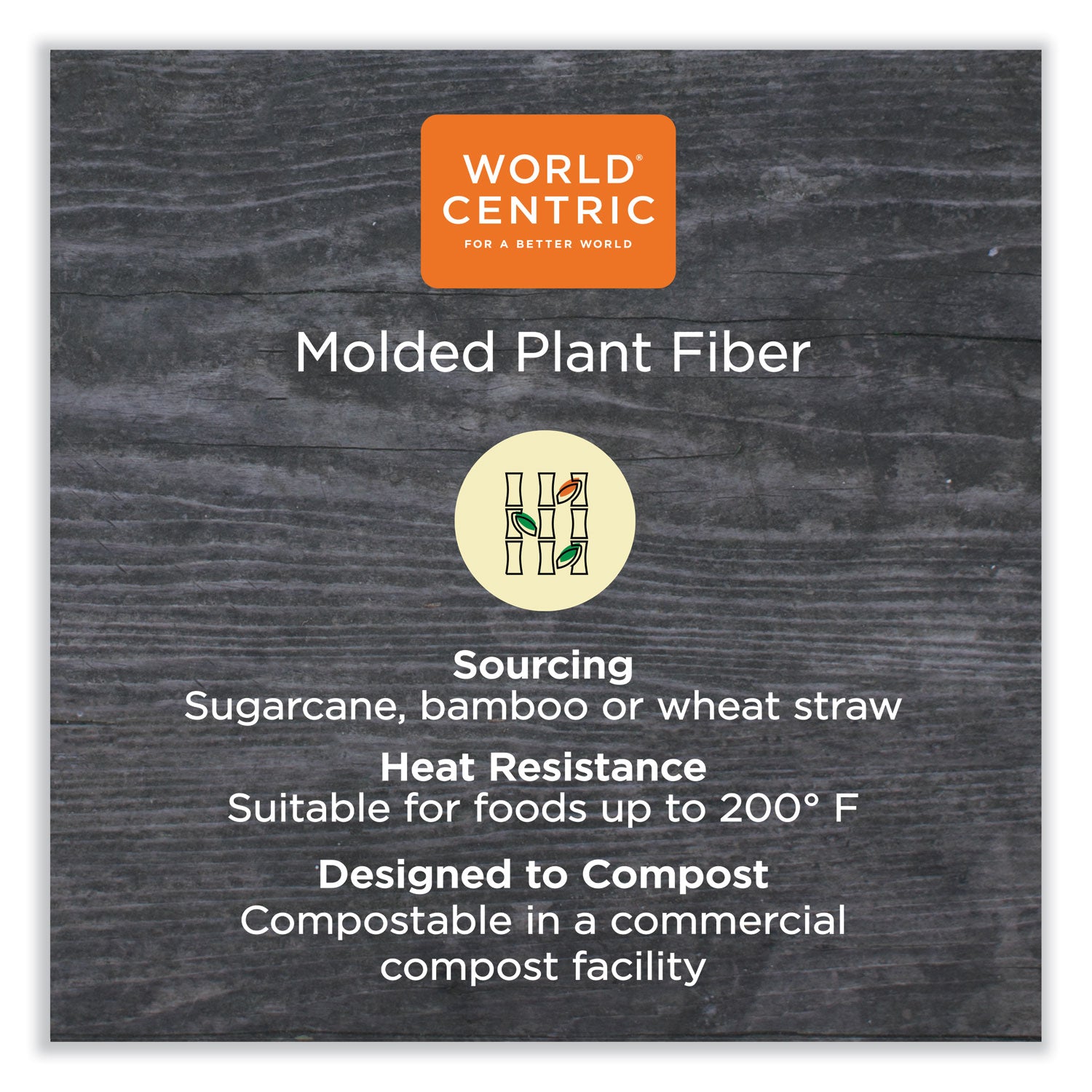 World Centric® Fiber Plates, Plate, 10.1" Diameter, Natural, 800/Carton