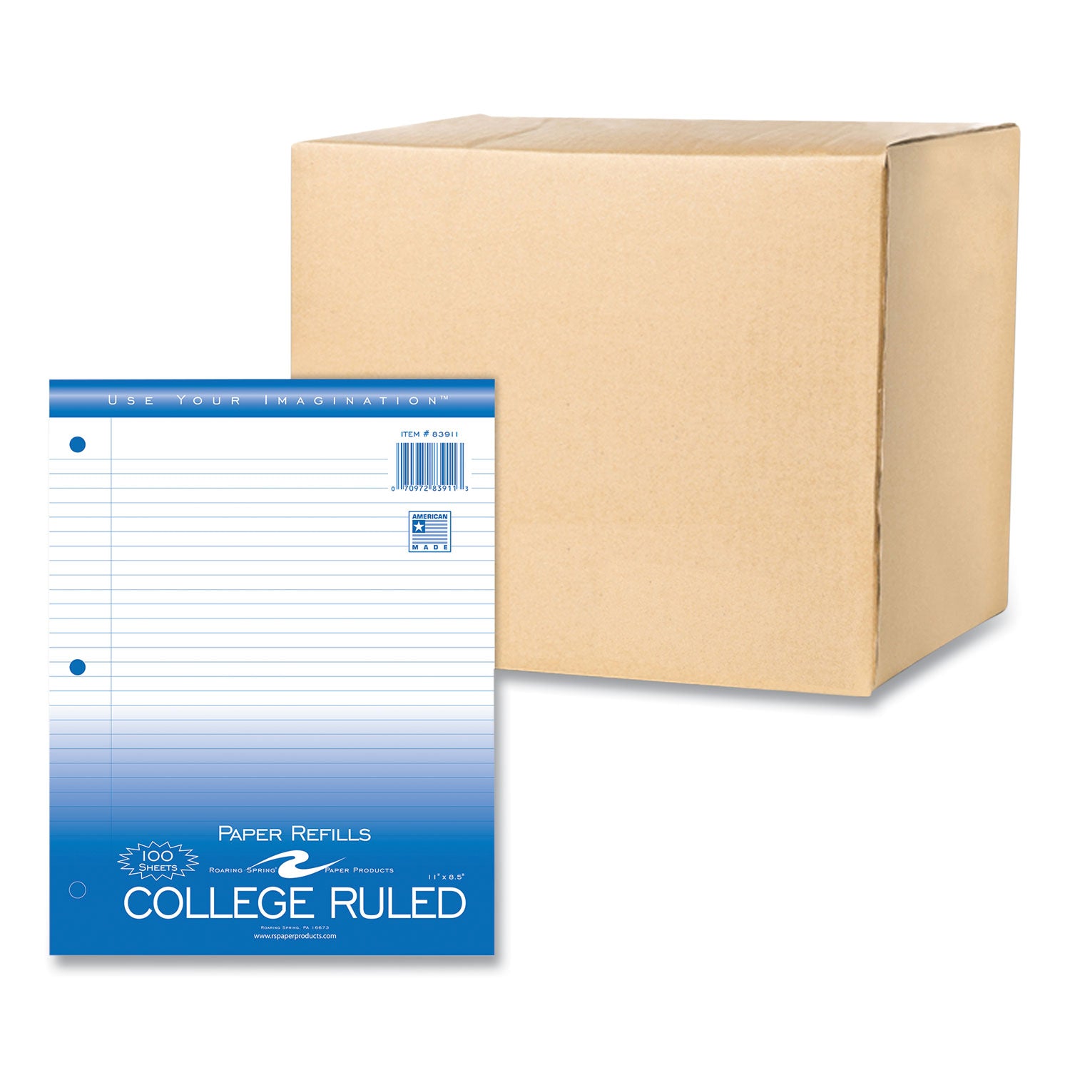 Loose Leaf Paper, 8.5 x 11, 3-Hole Punched, College Rule, White, 100 Sheets/Pack, 48 Packs/Carton