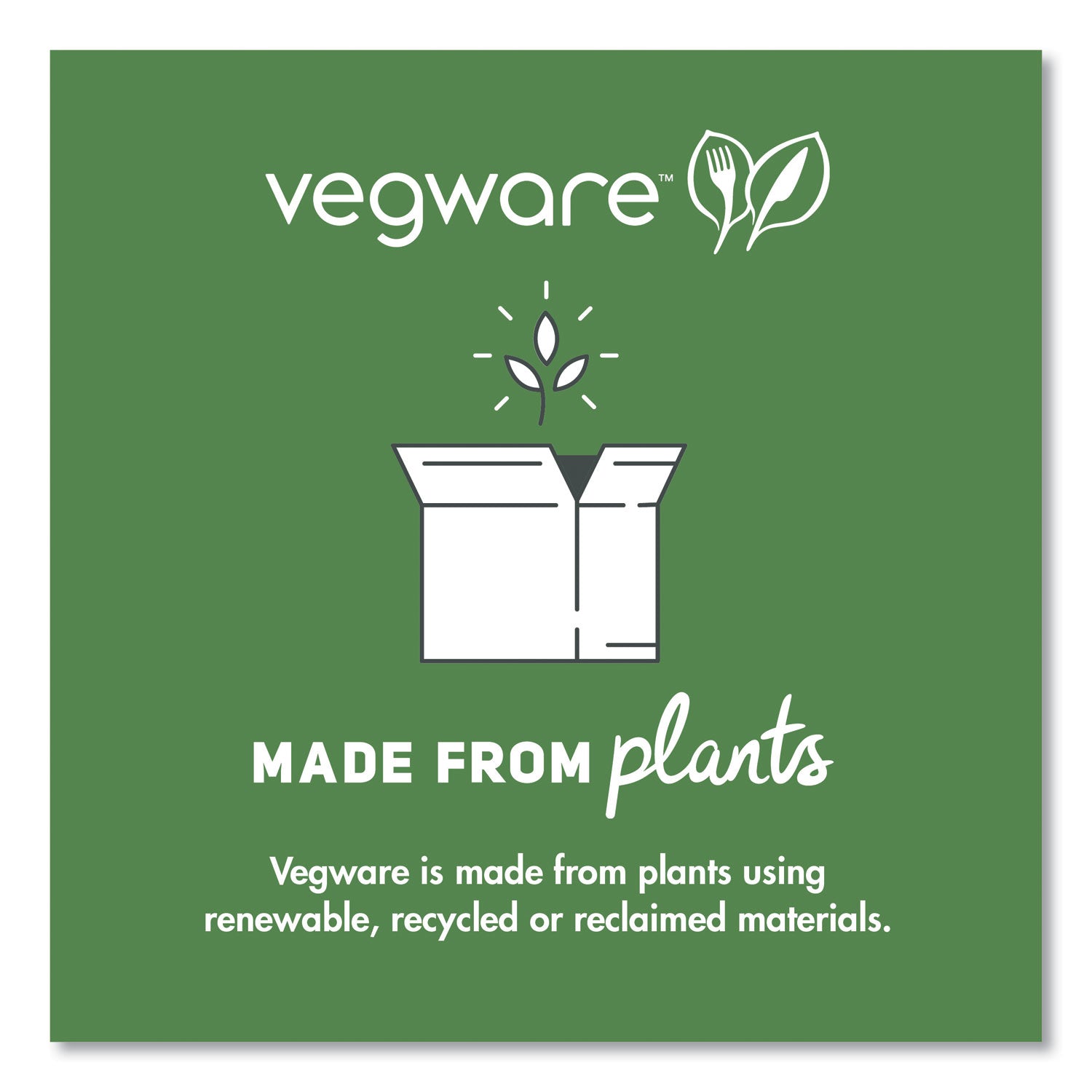 Vegware™ White CPLA Cutlery, Compostable, Spoon, 1,000/Carton