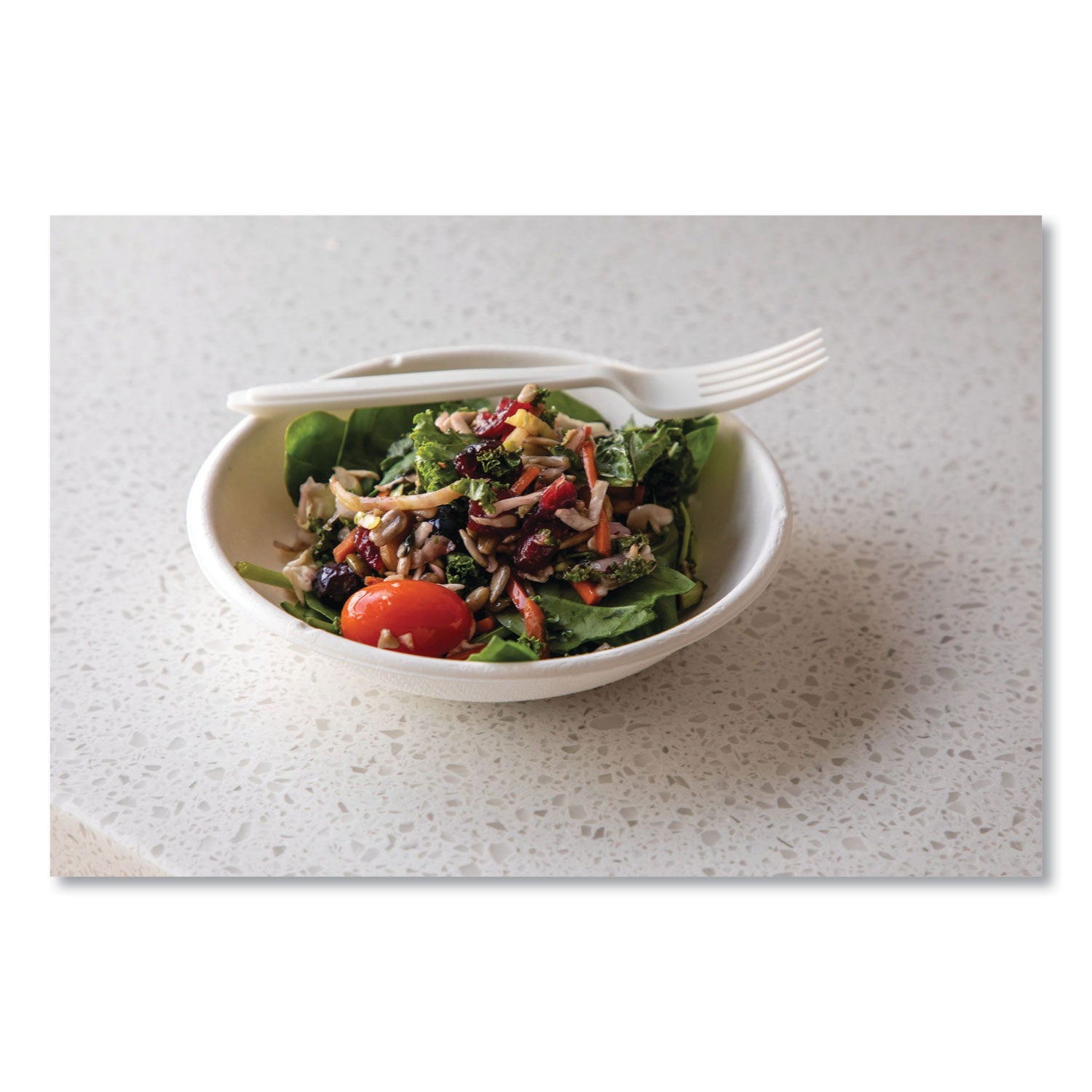 Eco-Products® Vanguard Renewable and Compostable Sugarcane Bowls, 12 oz, White, 1,000/Carton