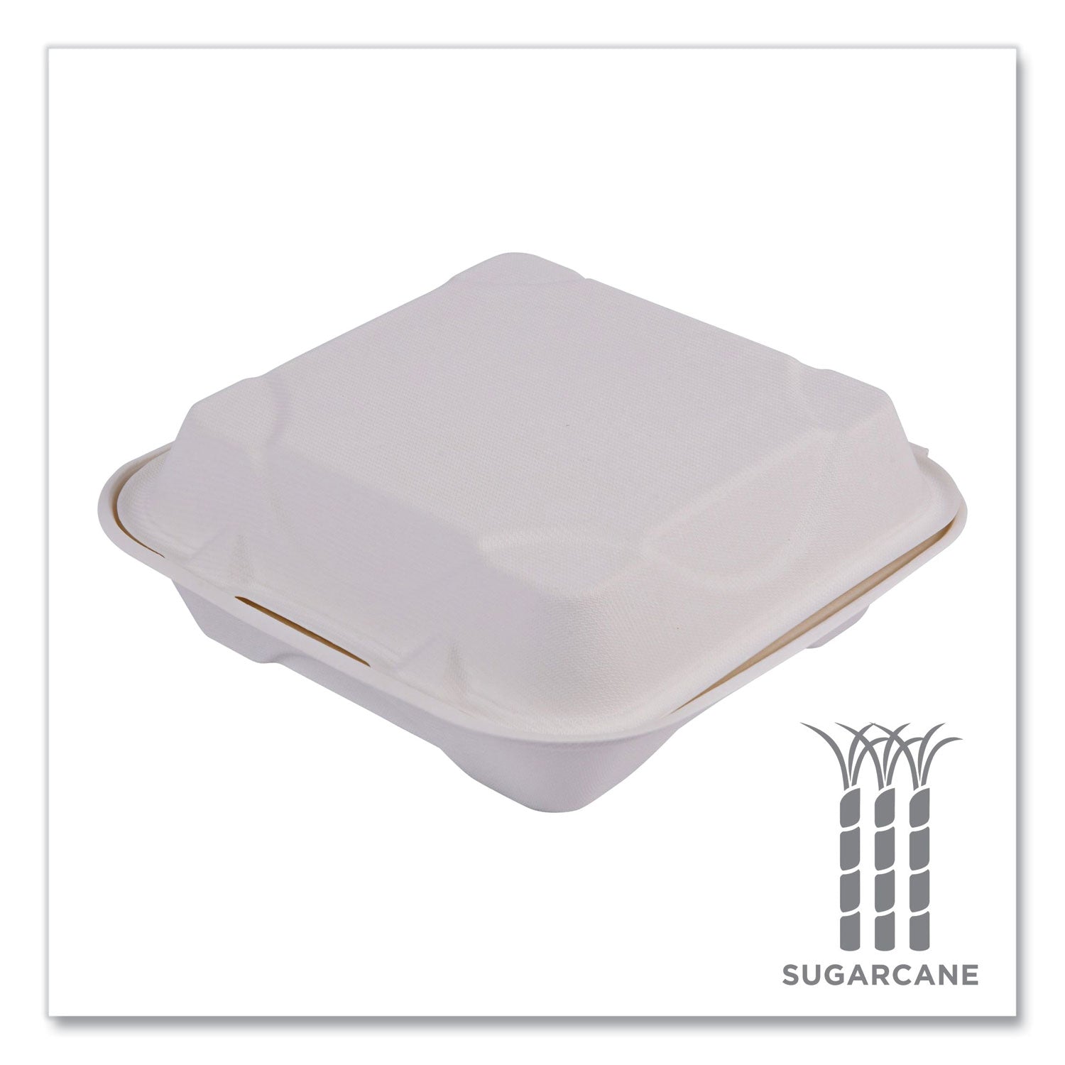 Eco-Products® Vanguard Renewable and Compostable Sugarcane Clamshells, 1-Compartment, 8 x 8 x 3, White, 200/Carton