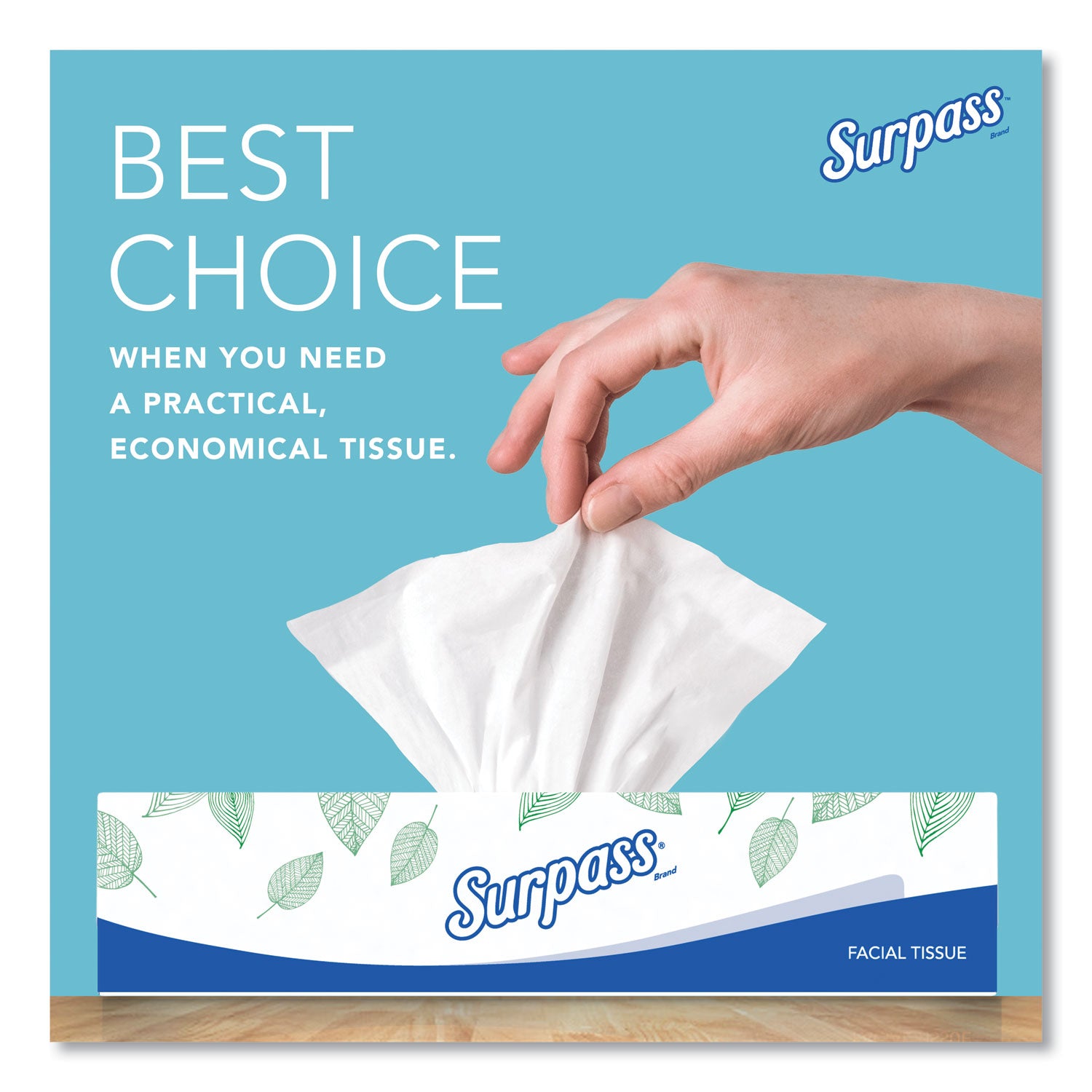 Surpass® Facial Tissue for Business, 2-Ply, White, Flat Box, 100 Sheets/Box, 30 Boxes/Carton