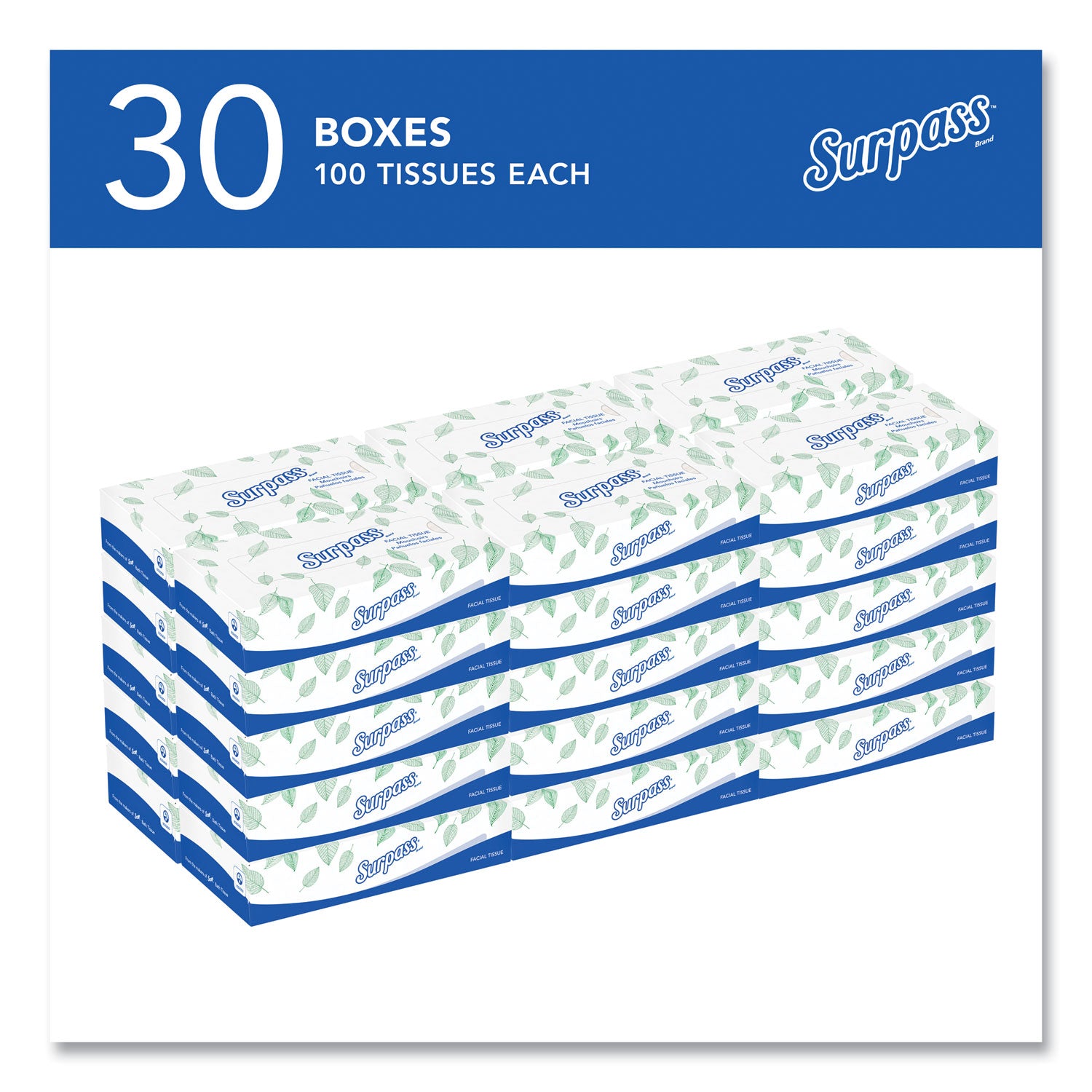 Surpass® Facial Tissue for Business, 2-Ply, White, Flat Box, 100 Sheets/Box, 30 Boxes/Carton