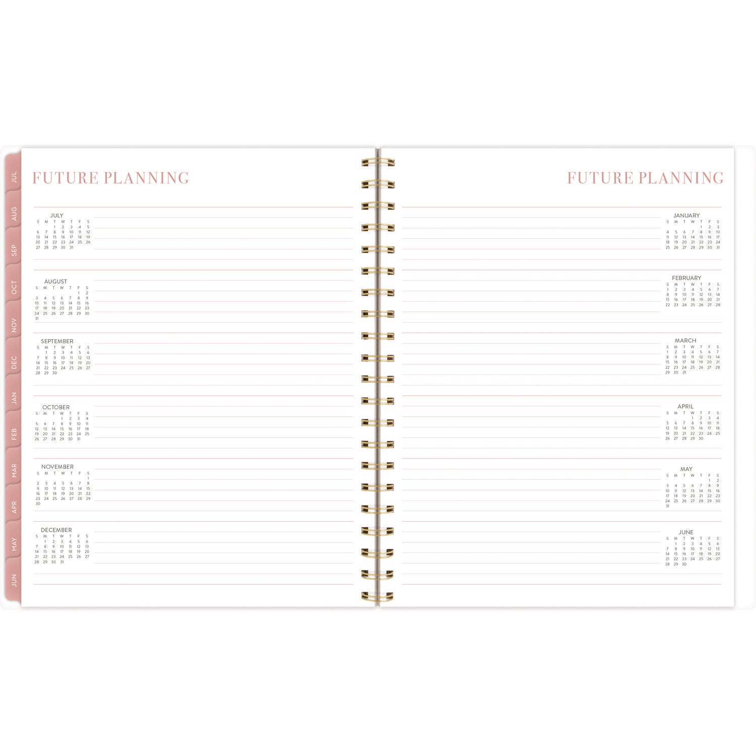 Cambridge® Leah Bisch Academic Year Weekly/Monthly Planner, Floral Artwork, 11" x 9.25", Multicolor Cover, 12-Month: July 2024-June 2025