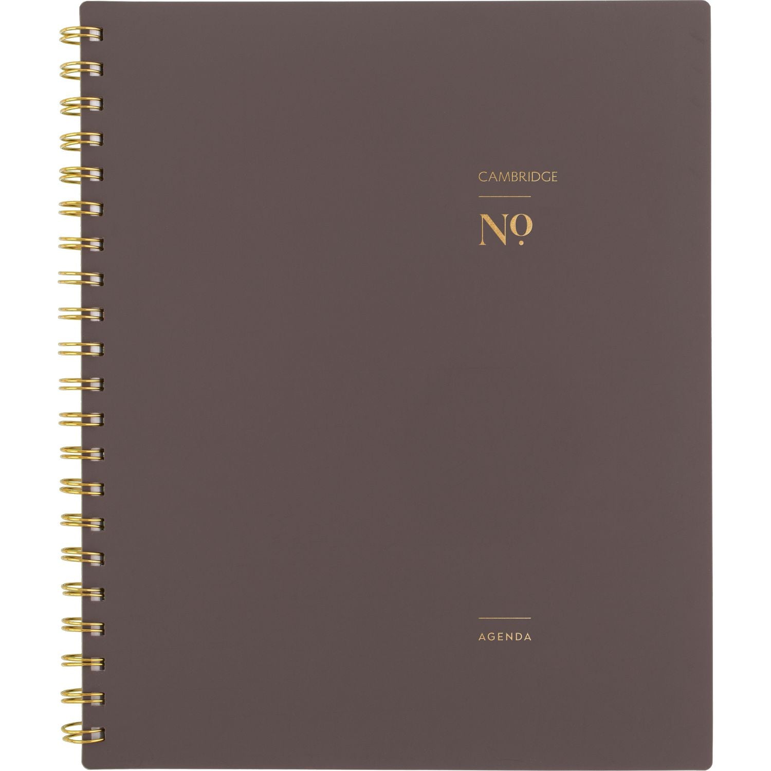 Workstyle Weekly/Monthly Planner, 11 x 9.38, Brown/Gold Cover, 12-Month (Jan to Dec): 2025