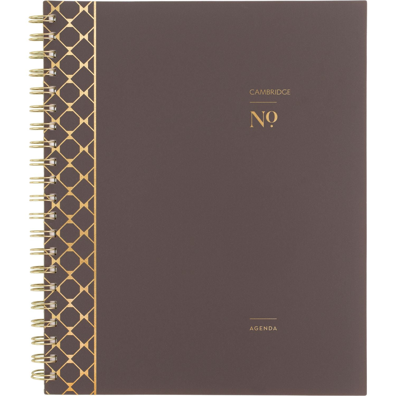 Workstyle Monthly Poly Planner, Geometric Artwork, 11 x 8.5, Java Brown/Gold Cover, 12-Month (Jan to Dec): 2025