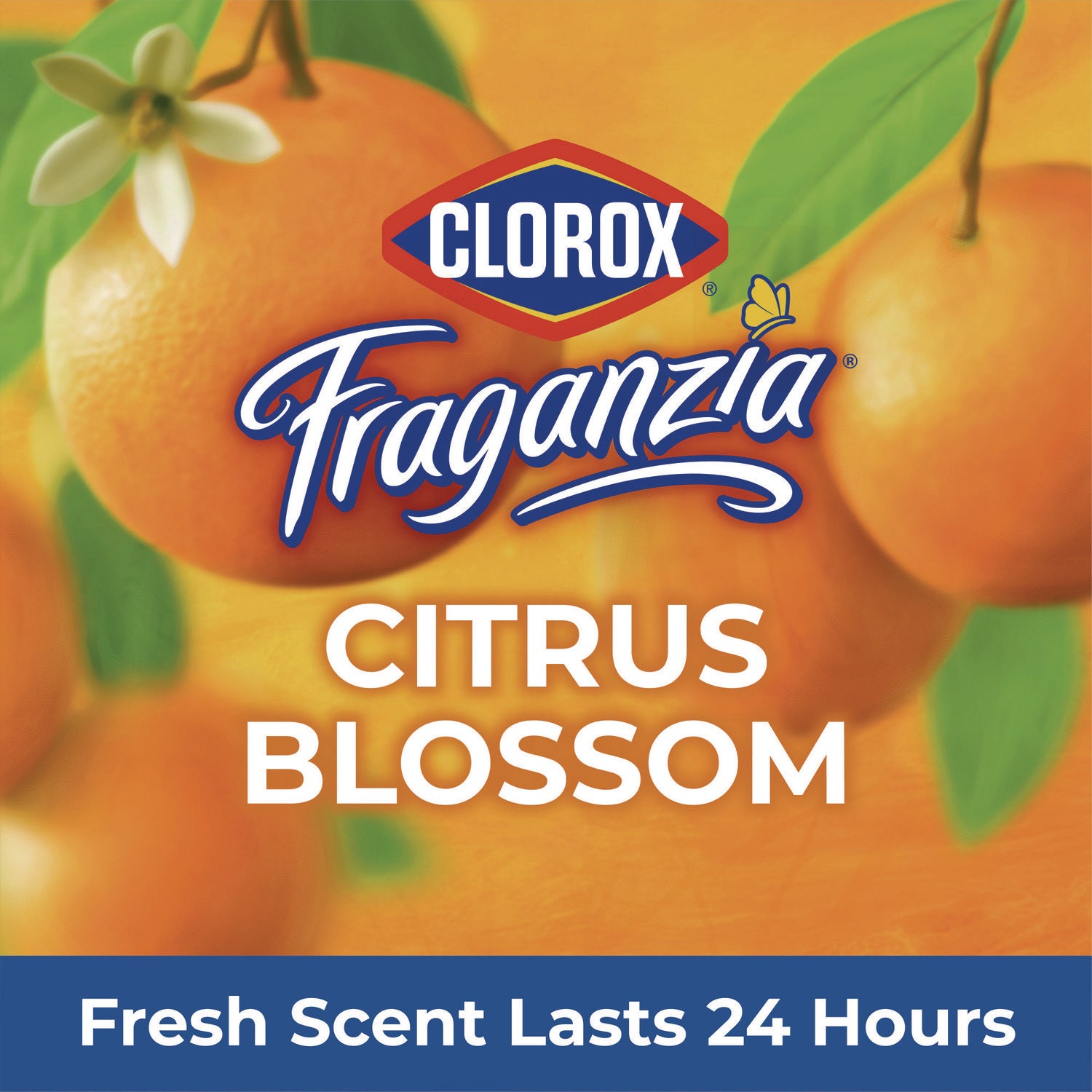 Clorox® CloroxPro Fraganzia Multi-Purpose Cleaner Concentrate, Citrus Blossom Scent, 175 oz Bottle, 3/Carton