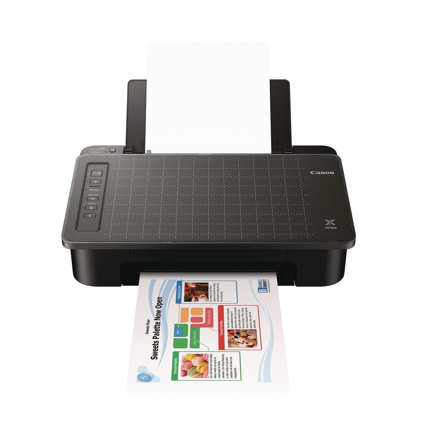 PIXMA TS302 Wireless Inkjet Printer Canon® Flipcost