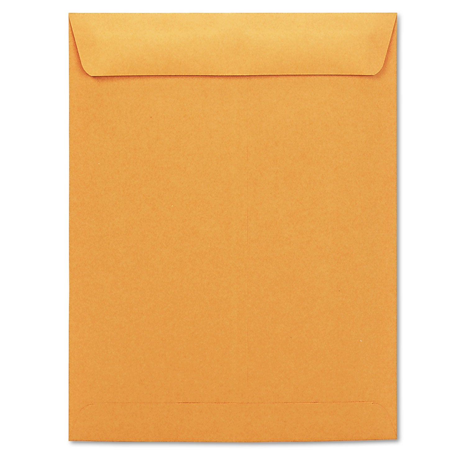 Catalog Envelope, #13 1/2, Square Flap, Gummed Closure, 10 x 13, Brown Kraft, 250/Box