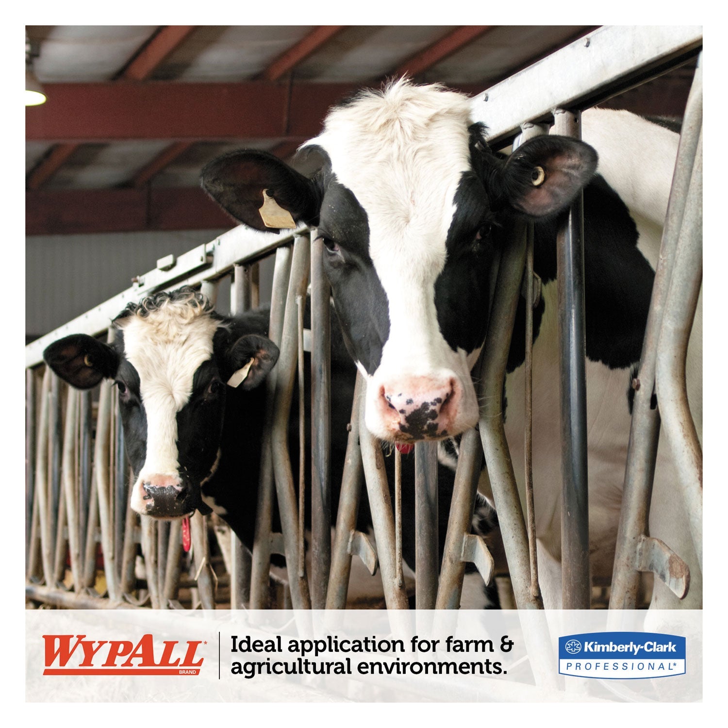 WypAll® L10 SANI-PREP Dairy Towels, POP-UP Box, 1-Ply, 10.25 x 10.5, White, 110/Pack, 18 Packs/Carton